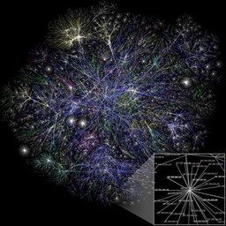 complex network