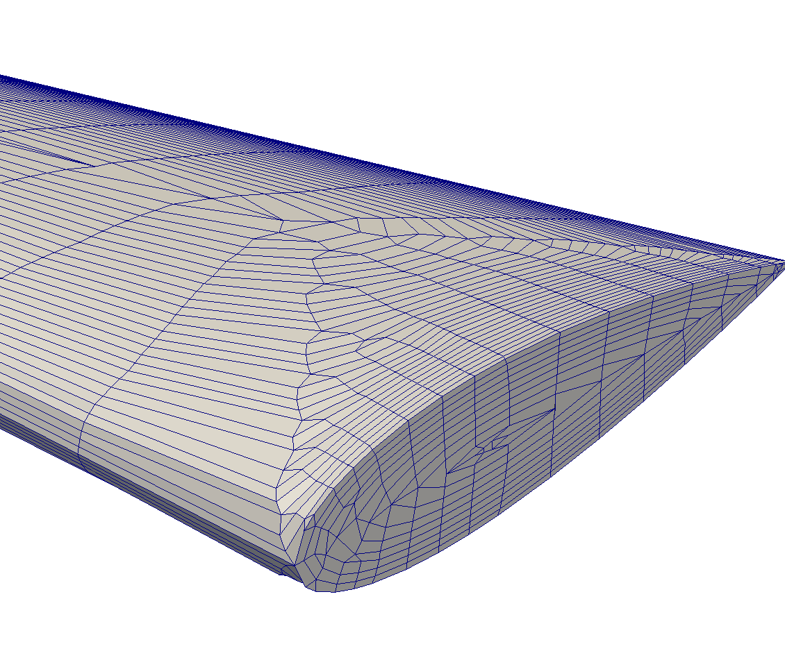 anisotropic mesh nacaOblique